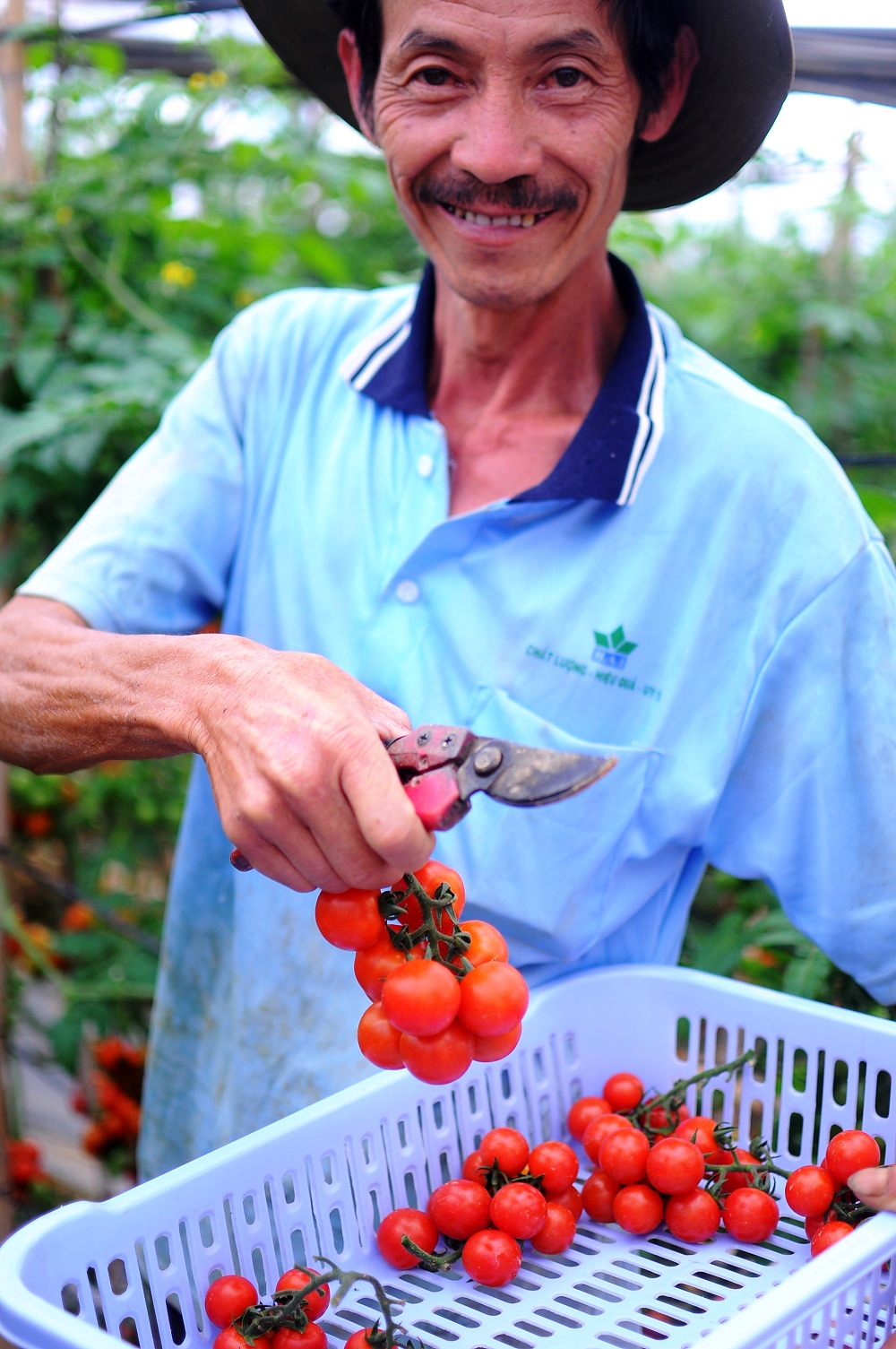 Khi kỹ sư làm thuê cho nông dân - Ảnh 4.