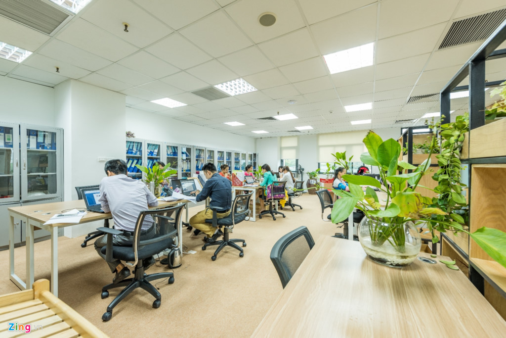 Văn ph&ograve;ng l&agrave;m việc xanh mướt với chanh leo, mồng tơi... - Ảnh 5.
