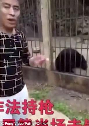 Du kh&aacute;ch Trung Quốc giết gấu bằng s&uacute;ng m&aacute;y - Ảnh 5.