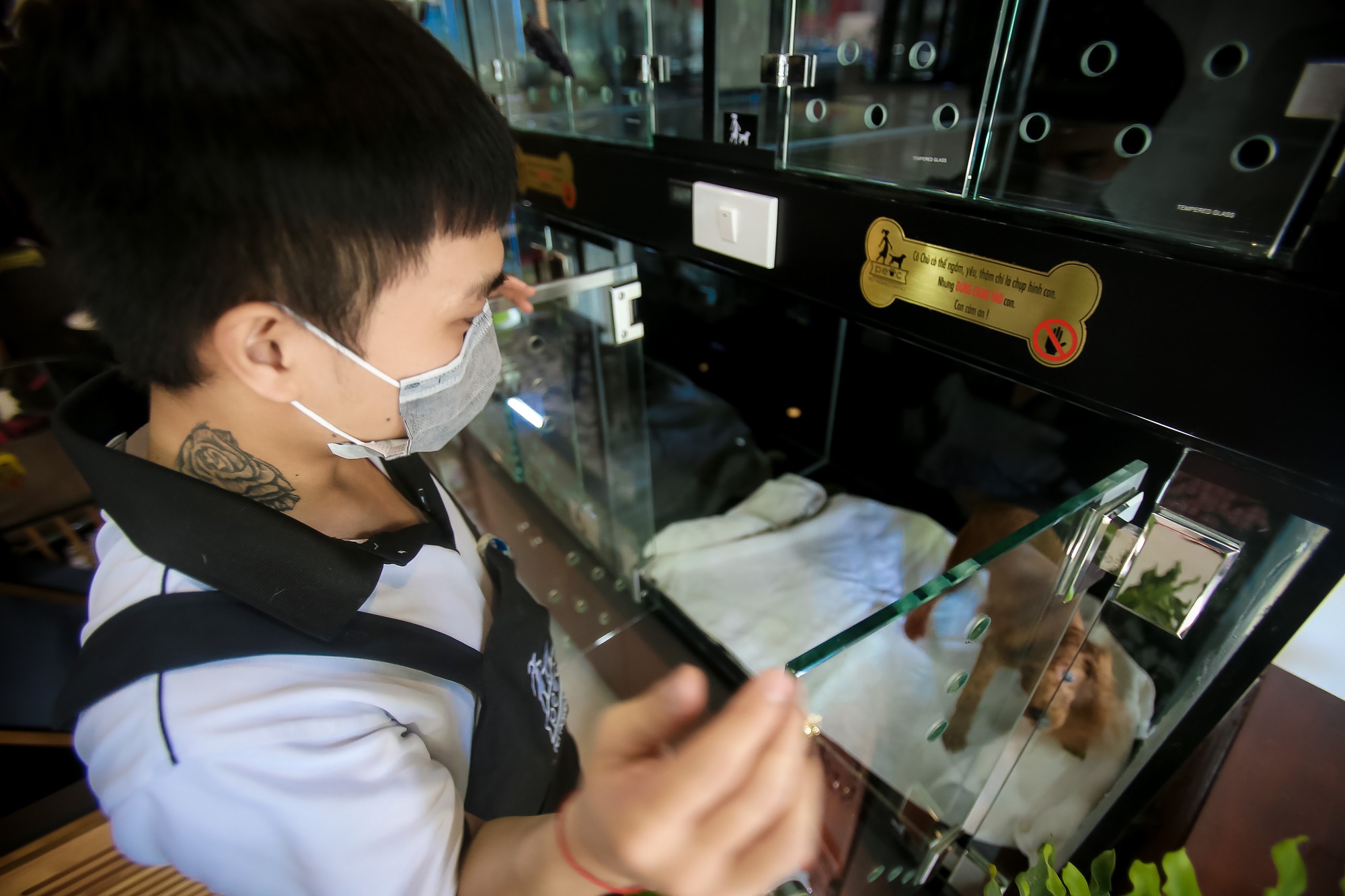 Choáng ngôi nhà 5 sao của thú cưng Sài Gòn - Ảnh 15.