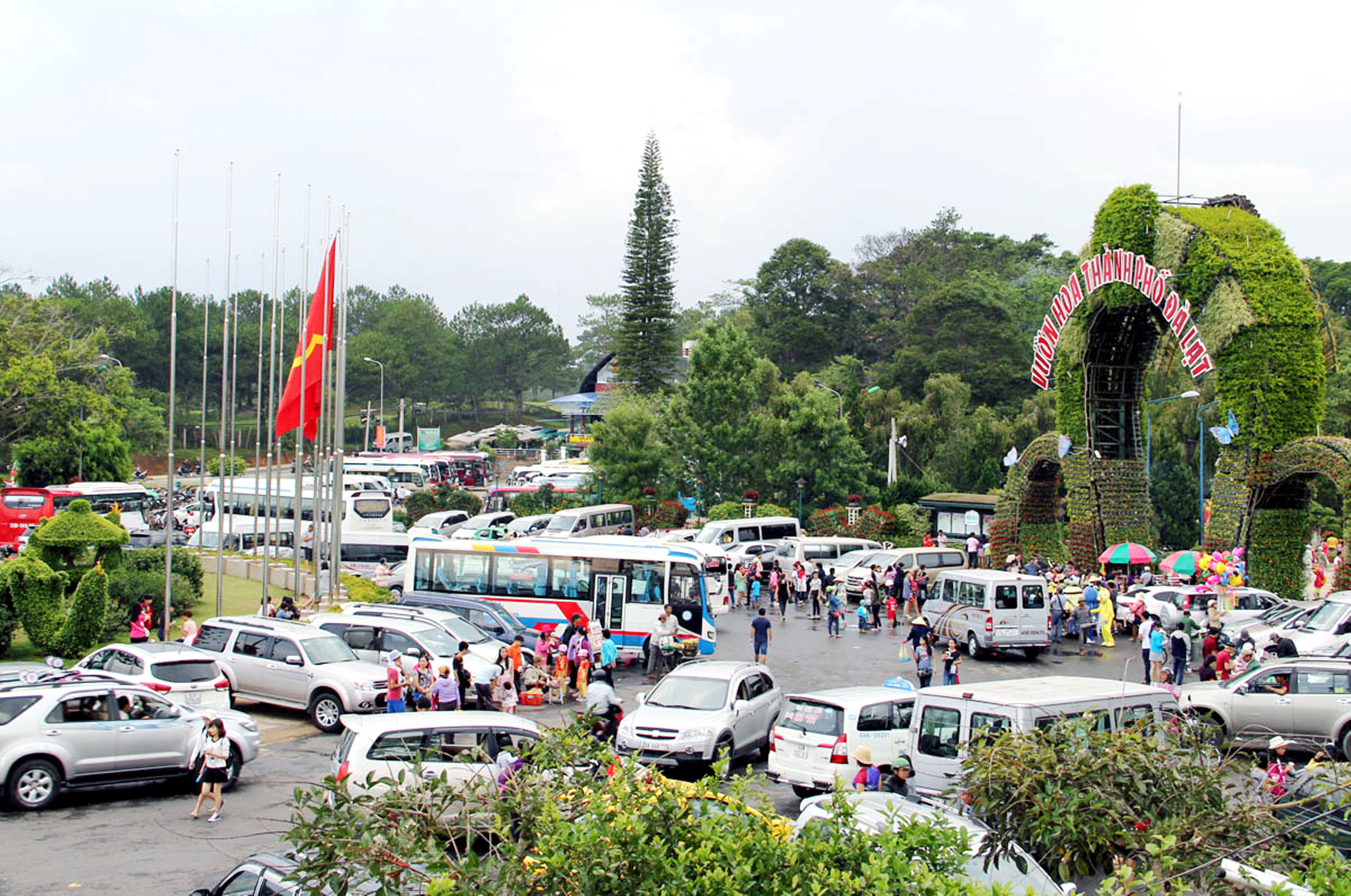 Mạnh tay dẹp c&ograve; đặc sản - Ảnh 1.