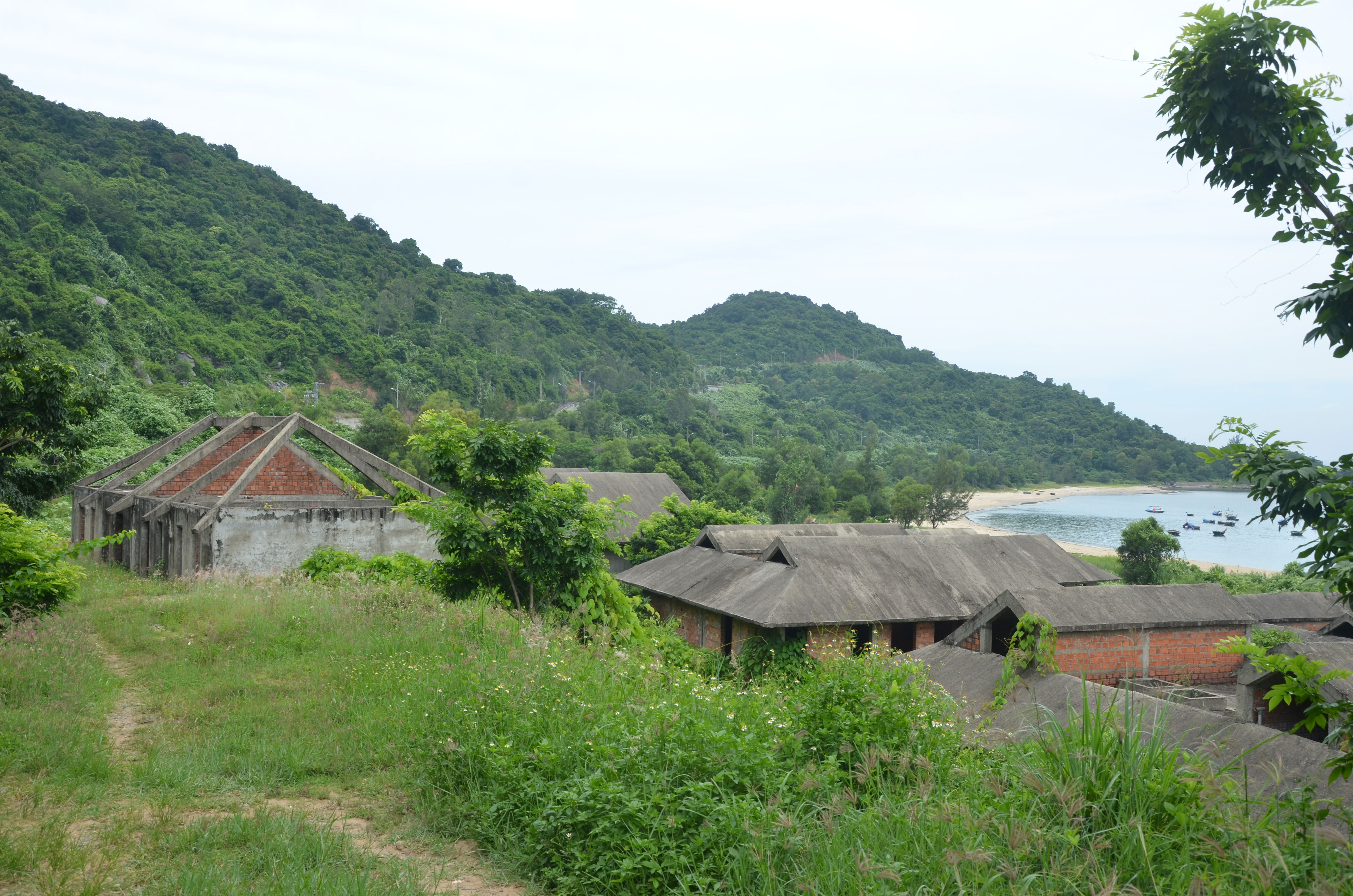 Thanh tra toàn diện dự án ở Sơn Trà - Ảnh 1.
