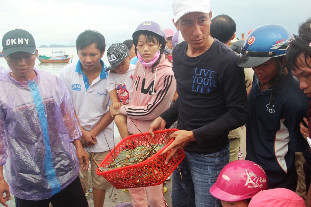 "Thủ phủ" tôm hùm tan tác