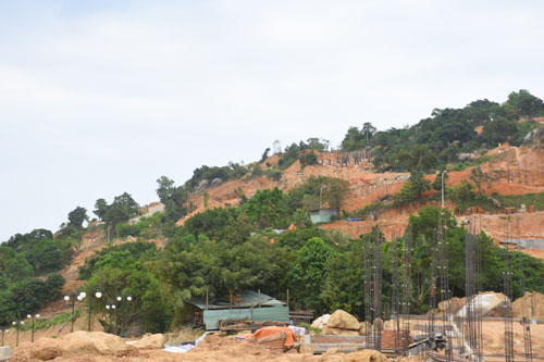 Sơn Trà: Bảo tồn đối đầu phát triển - Ảnh 2.