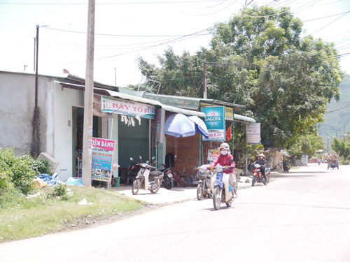 Mọt khoai mì tấn công khu dân cư
