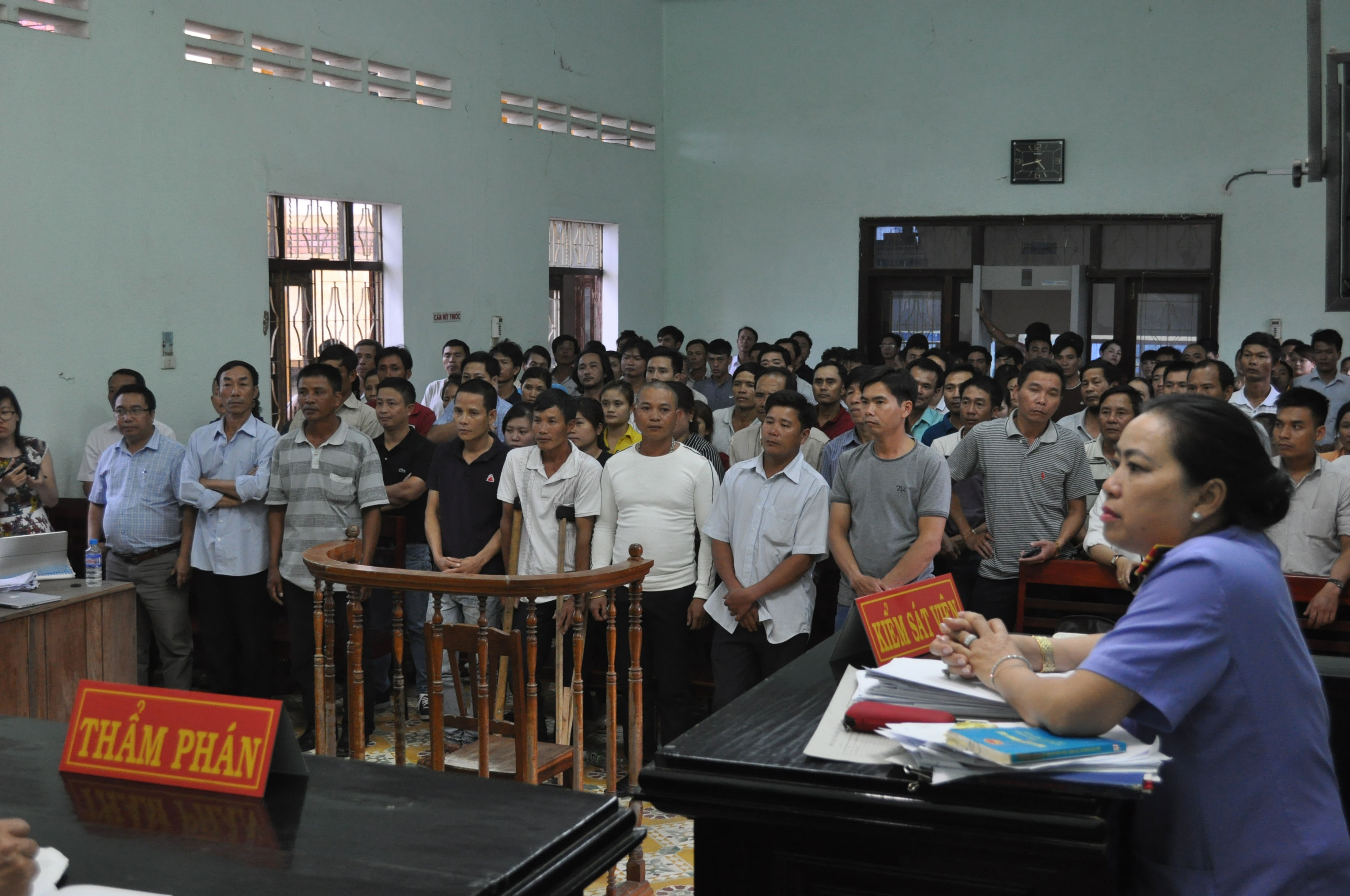 Phiên tòa phúc thẩm xét xử các bị cáo cắt cây rừng khô