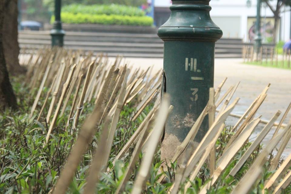 
Khu&ocirc;n vi&ecirc;n vườn hoa gần Nh&agrave; h&aacute;t Lớn cắm nhiều cọc tre sắc nhọn khiến nhiều người d&acirc;n tỏ ra lo ngại
