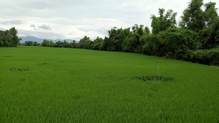 Sau loạt tiếng nổ khi m&aacute;y bay bay ngang, nhiều nh&agrave; d&acirc;n bị hỏng nặng - Ảnh 5.