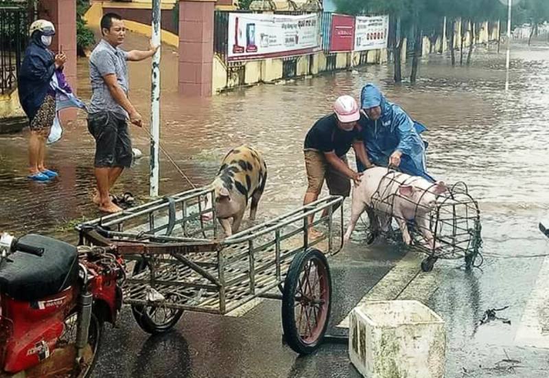 B&atilde;o số 10 quật đổ ăng-ten truyền h&igrave;nh-ph&aacute;t thanh cao 100 m - Ảnh 27.