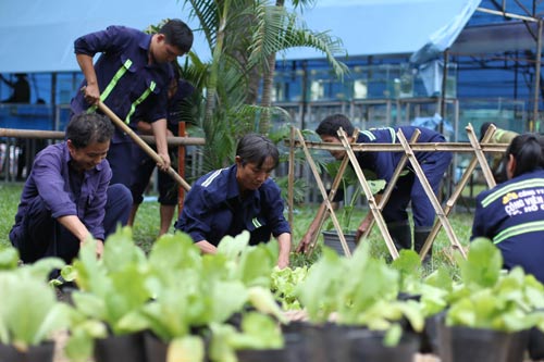 C&ocirc;ng nh&acirc;n chuẩn bị cho HHX Đinh Dậu 2017. Ảnh: ho&agrave;ng Triều