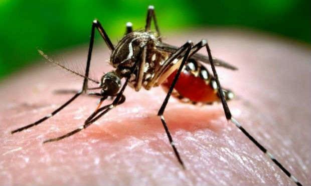 Cứ hôn môi, đừng sợ lây nhiễm virus Zika!