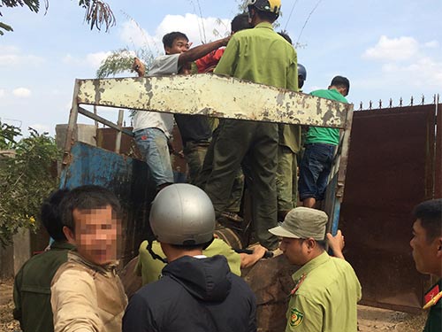 Lâm tặc quá lộng hành!