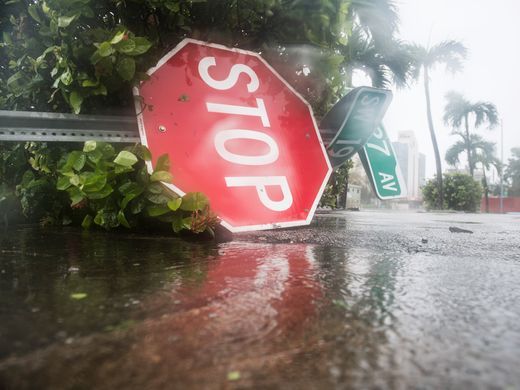 
C&acirc;y cối, biển b&aacute;o ở Miami bị giật đổ. Ảnh: USA TODAY.
