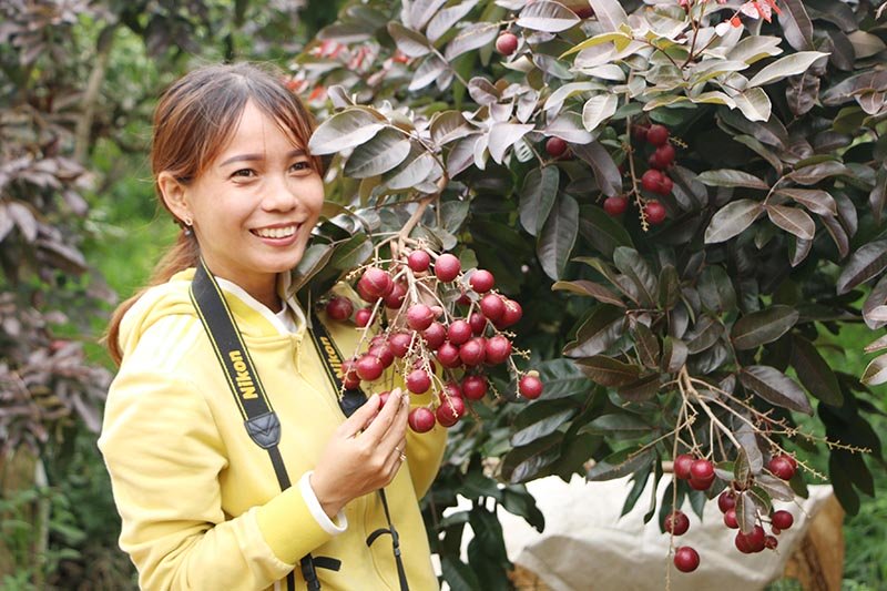 Nh&atilde;n t&iacute;m độc nhất v&ocirc; nhị miền T&acirc;y: Nh&igrave;n l&agrave; m&ecirc;, sờ l&agrave; th&iacute;ch - Ảnh 7.
