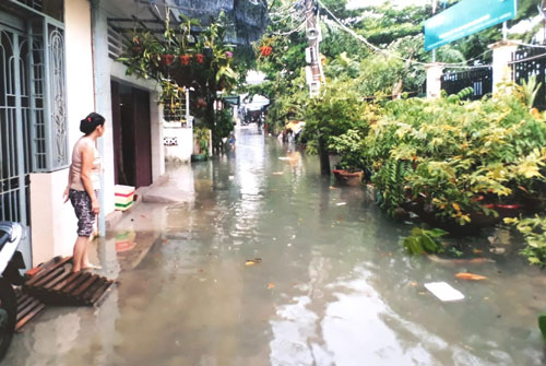 Đã lên phương án nạo vét cống