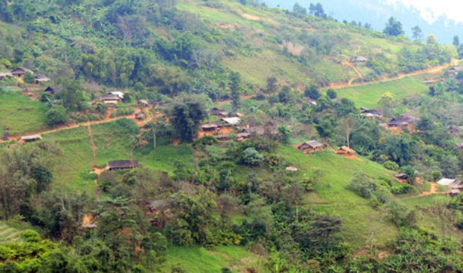Lớp mất đồ chơi, 3 học sinh tiểu học ăn lá ngón tự tử