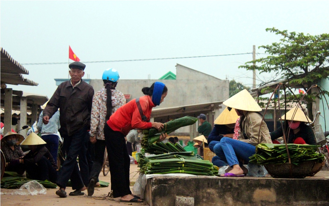 Nhờ việc hái lá rừng, nhiều hộ dân đã kiếm bạc triệu trong những dịp Tết Nguyên đán