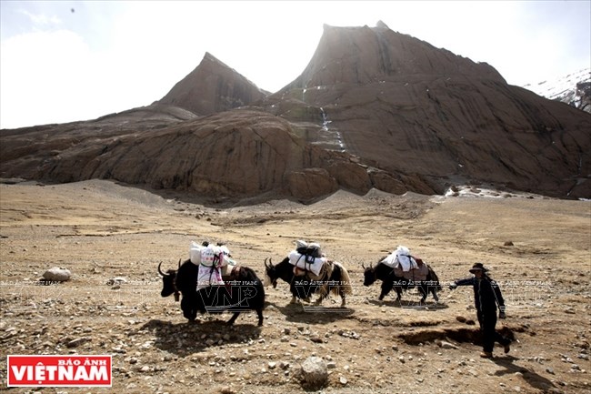 H&agrave;nh tr&igrave;nh chi&ecirc;m b&aacute;i ngọn n&uacute;i thi&ecirc;ng Kailash ở T&acirc;y Tạng - Ảnh 8.