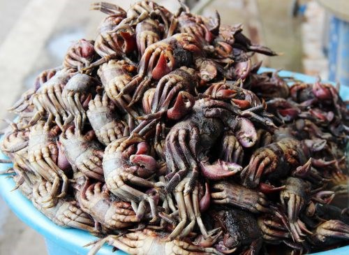 Điều &iacute;t người biết về con ba kh&iacute;a nổi tiếng của C&agrave; Mau - Ảnh 8.