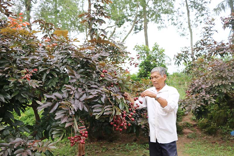 Nh&atilde;n t&iacute;m độc nhất v&ocirc; nhị miền T&acirc;y: Nh&igrave;n l&agrave; m&ecirc;, sờ l&agrave; th&iacute;ch - Ảnh 8.