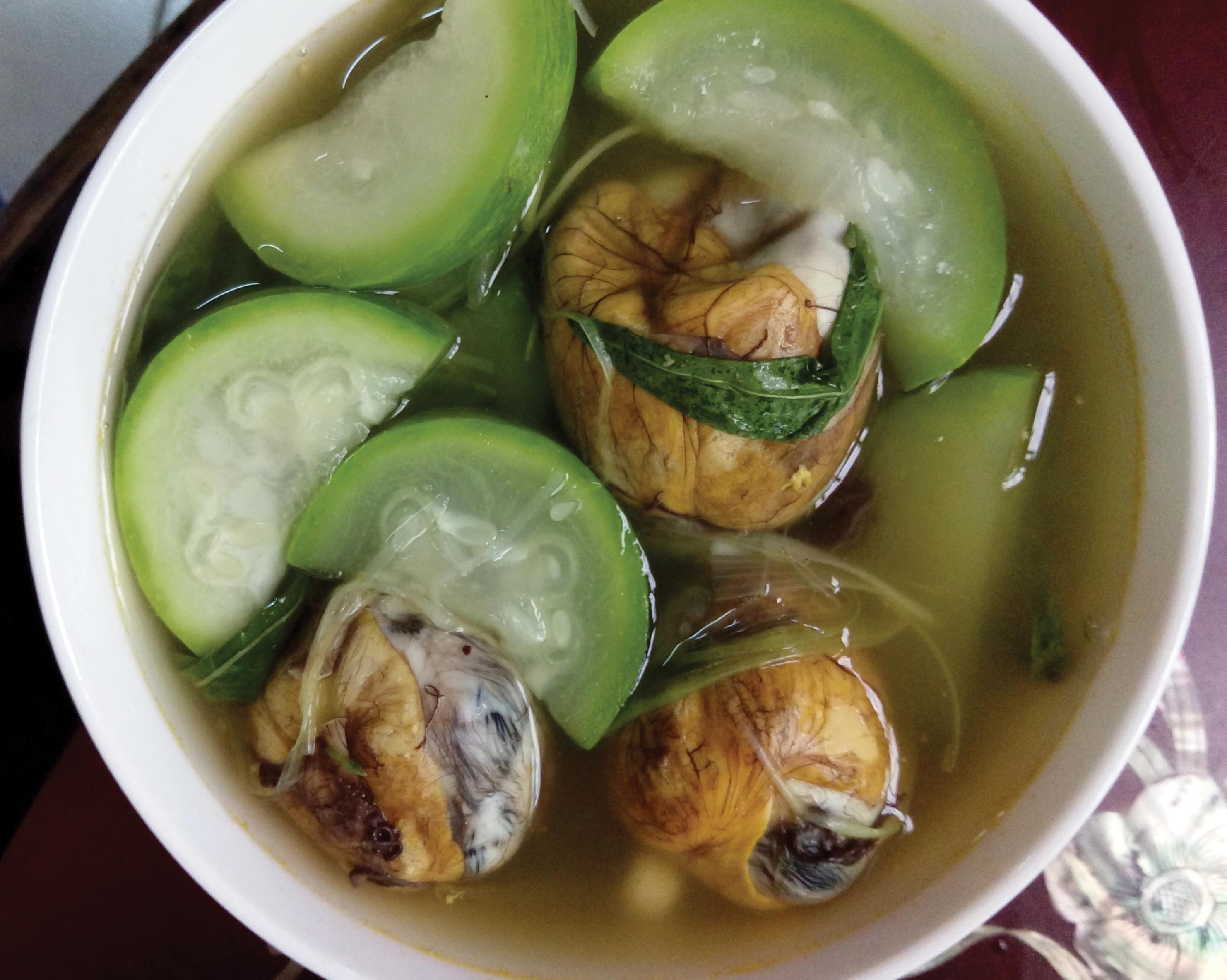 Vịt lộn mà nấu canh bầu…