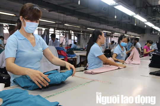 84,4% NLĐ muốn l&agrave;m th&ecirc;m để tăng thu nhập - Ảnh 1.
