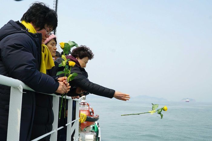 Xương tìm thấy trên phà Sewol không phải xương người