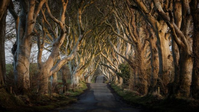 Con đường ma mị trong "Game of thrones" thành điểm tham quan nổi tiếng