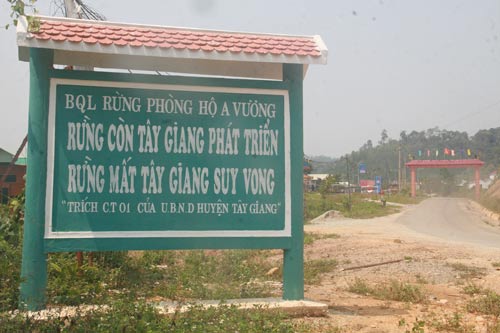 Dồn sức giữ rừng
