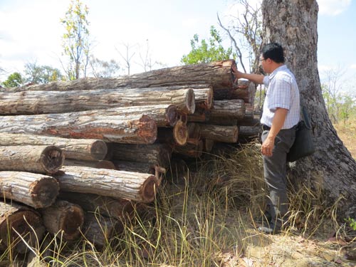 Làm lơ lệnh đóng cửa rừng