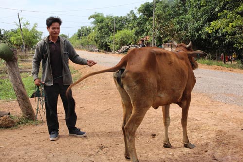 GIAN NAN THOÁT NGHÈO! (*): Đừng để ngàn tỉ trôi sông