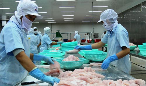 TÍNH KẾ BỀN VỮNG CHO CÁ TRA (*): Vực dậy bằng cách nào?