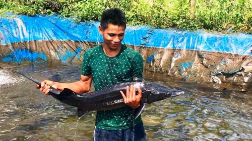 Luẩn quẩn khuyến n&ocirc;ng, khuyến ngư - Ảnh 2.