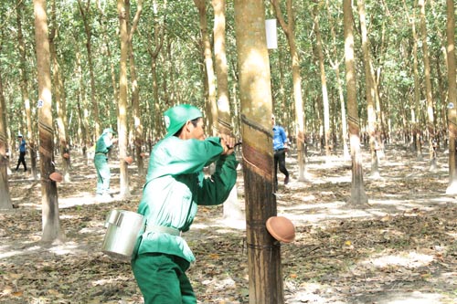 Đồng lòng vượt khó