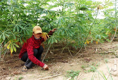 CÁM CẢNH LƯƠNG HƯU GIÁO VIÊN!: "Lạnh" như BHXH
