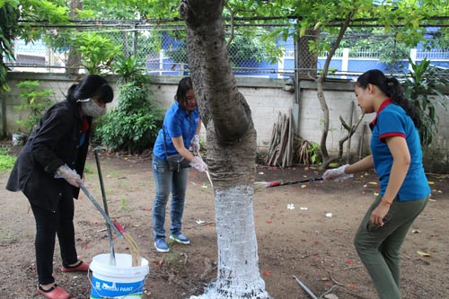Công nhân tham gia "Ngày chủ nhật xanh"
