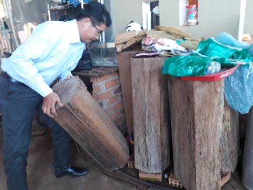 Rừng thông đỏ bị xâm hại