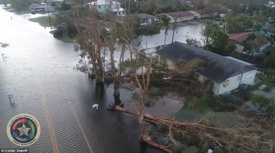 Mỹ: Florida bị tắt c&ocirc;ng tắc điện tr&ecirc;n to&agrave;n bang - Ảnh 12.