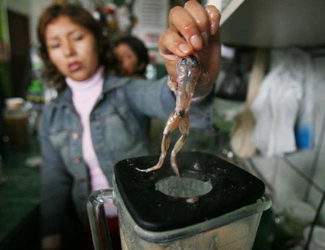 R&ugrave;ng m&igrave;nh những thức uống kinh dị nhất thế giới - Ảnh 9.