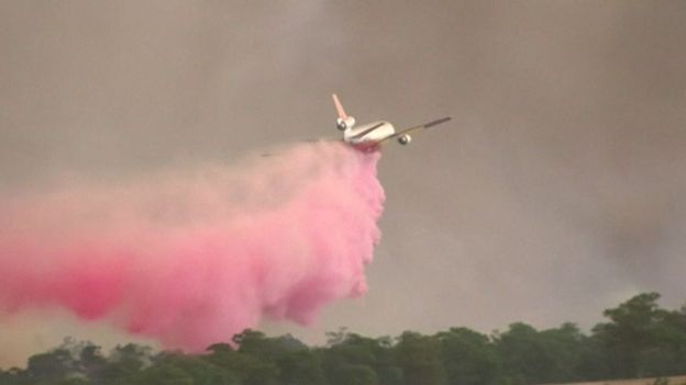 Máy bay chữa cháy rừng ở bang New South Wales - Úc. Ảnh: Reuters