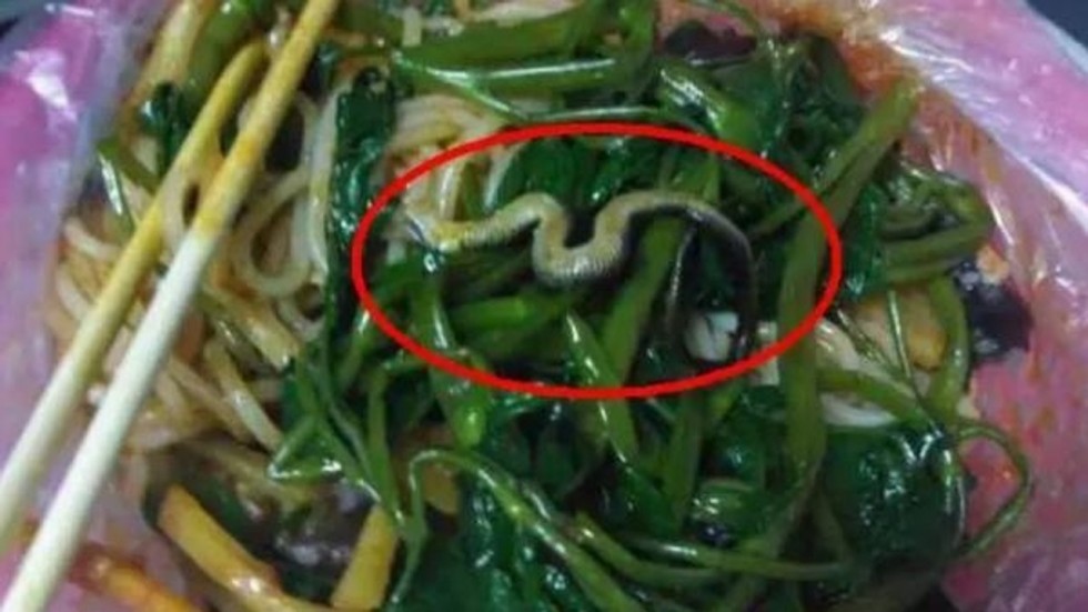 Rắn nằm trong hộp mì, nhà hàng Trung Quốc đóng cửa