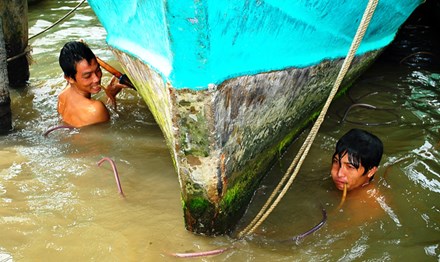 Gặp người "sống dưới đáy sông" ở Cà Mau