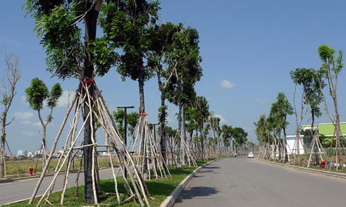 Giá đất xung quanh một dự án phức hợp tại quận Tân Phú đang được giao dịch ở mức 60-70 triệu đồng mỗi m2. Ảnh: C.C