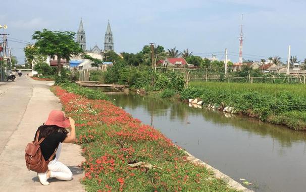 Ngỡ ngàng những con đường hoa rực rỡ làng quê miền Bắc - Ảnh 4.