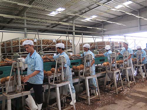 Mỹ rút khỏi TPP: Việt Nam mất cơ hội nhưng ít ảnh hưởng trực tiếp