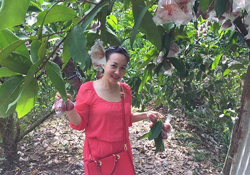 Vườn trái cây manh mún, nhỏ lẻ dẫn đến giá thành cao