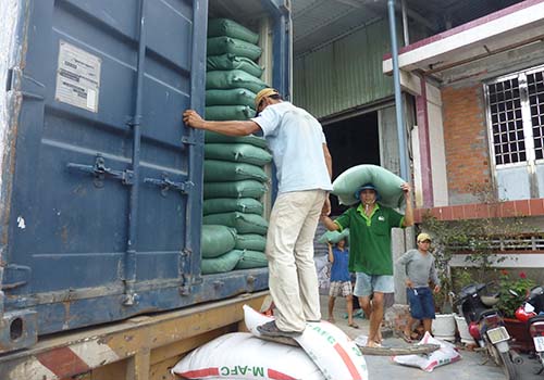 Xuất khẩu gạo sẽ tốt hơn - Ảnh 1.
