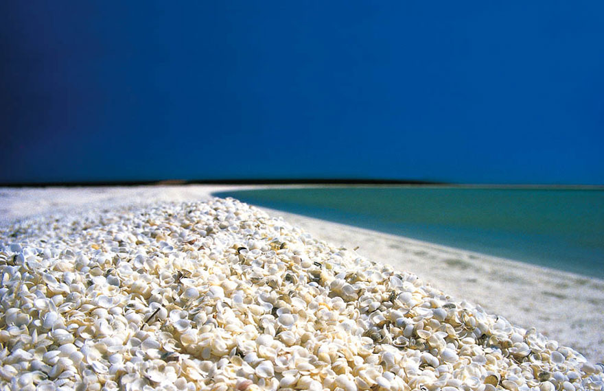 Ảnh: australiascoralcoast.com