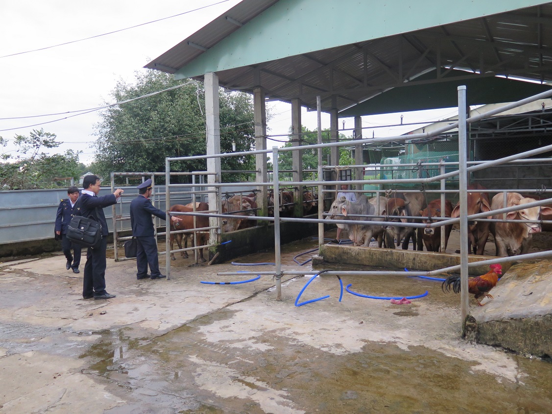 Hầu hết các cơ sở đều từng bị xử phạt vì có hành vi bơm nước vào bò nhưng mức phạt không đủ sức răn đe