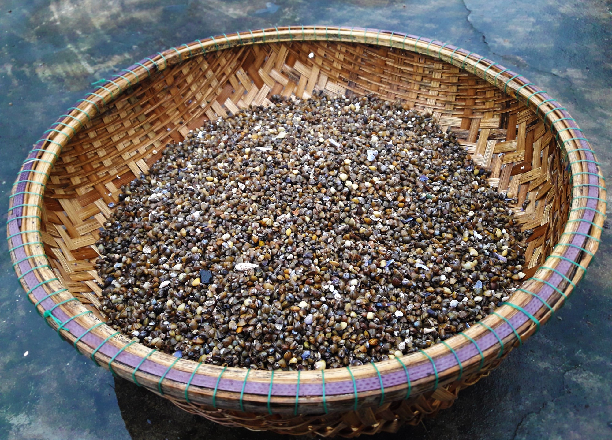 B&uacute;n chắt chắt &ndash; M&oacute;n d&acirc;n d&atilde; nhưng ngon đ&atilde; đời - Ảnh 1.